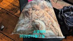 [통영] 선상 문어 키로 오버 외에도 사이즈 좋습니다