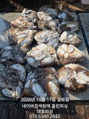 대호피싱 10월11일 갑오징어 마무리 소식 전합니다