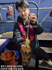 주간에는 삼치및방어가 득실득실 야간 무늬오징어 팁런 예약중입니다 사진