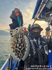 [군산아시아호] 갑오징어 굿 실시간10/11