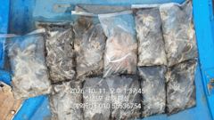 (주꾸미)삼천포가 정답~80~70여수 피딩 로마피싱(13일예약)