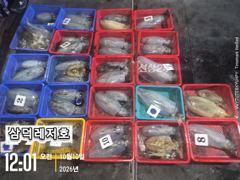 [팁런] k,k,완전무시급들 싸이즈"굿"(화요일,출항) 사진