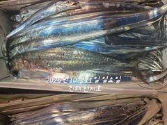 내만갈치 계속 호조항 이어지고~~~예약가능 사진