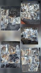 [쭈갑조황] 10.12일 갑오징어 조황입니다 사진