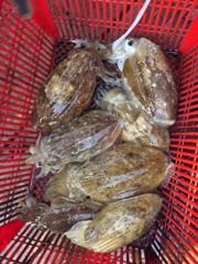 10월12일시간배