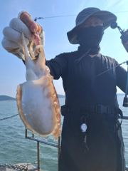 10월12일(금)오후시간배조황입니다