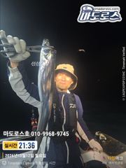 [거제] 본격적 갈치시즌 초대박 !!
