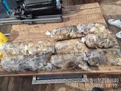 삼천포. 똘이장군 똘이호// 왕대갈빡 쭈꾸미 좋습니다