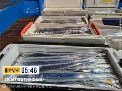 13일 입항 소수인원 초대박 4.5지급다수 오늘 하루쉬고 낼부터 총출동