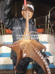 13일, 군산 왕문어 ~빗속에 낚여 올라오는 덩치급 왕문어~연일 계속~실시간~~군산낚시프라자 챔피언호 사진