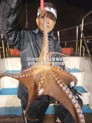 13일, 군산 왕문어 ~빗속에 낚여 올라오는 덩치급 왕문어~연일 계속~실시간~~군산낚시프라자 챔피언호 사진