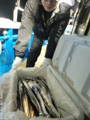 [여수,광양] <여수뉴피닉스호> 내일(수) 씨알좋은 갈치출조 자리많습니다. 황… 사진