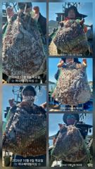 돌문어 목요일11자리여유 K급 덩치들도 많이 보이고 , 마릿수도 좋습니다. 목요일부터 돌문어 황금물때 시작합니다. 망태기 가득 가득 채우러 가봅시다. 출조하실분 연락주세요. 구석구석 열심히 찾아보겠습니다. 감사합니다 사진