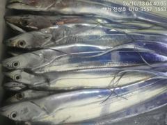 거제 뉴 진성호 야간 외줄칼치 출조안내입니다 사진