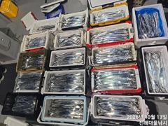 [진해] 와우~13일새벽,내만칼치 용가리 어마어마하게 퍼담고~초대박.수,… 사진
