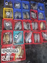 [통영] [팁런]대물,시즌,k,k,무시급(목요일,출항확정)