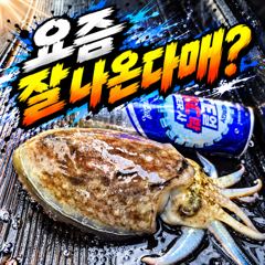 [팀바이트호] 10월12일 갑오징어 낚시 사진