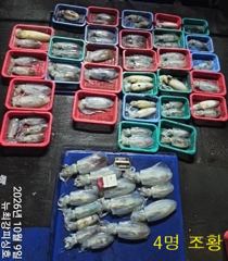 [통영] 키로/키로급 왕무시들 수두룩!!! 내일 출동합니다!!!