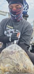 [여수,광양] 여수 주꾸미 출조합니다