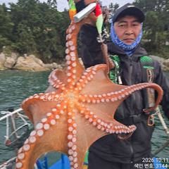 끝도없이 올라오는 굵고 묵직한 Kg급 야간~돌문어 잡으러 출조 갑니다@ 오늘,목,금요일~예약가능 사진