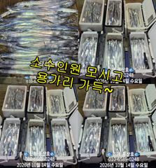 [진해] (풍산)내만갈치~어마어마~퍼담고~대박~(오늘,예약가능합니다) 사진