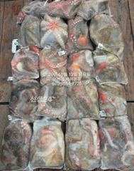 13일, 군산 왕문어 ~묵직한 손맛, 덩치급 왕문어~연일 계속~군산낚시프라자 포세이돈호 사진