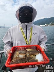 내일 갑오징어 5분예약중 출조확정 입니다 금요일 출조확정 자리여유 많습니다 사진