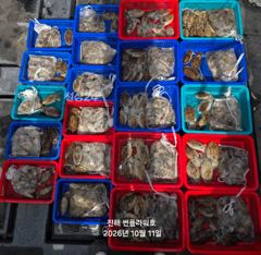 <주간쭈꾸미>장원100수>90>80>70>목,금,토,일 예약가능