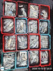 》12일 야간/ 13일 새벽최종!《오늘 (수) 오후6시 여유석! 사진