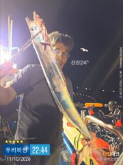[진해] 갈치(템빈. 텐야) 대치들이 올라옵니다. (목요일 예약가능) 사진