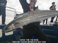 대삼치 이제야 들어와 있어요ㅡ내일부터 출항 가능! 사진
