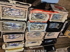 고기는 많고 씨알은 깡패급! 내만갈치 대박 예약가능