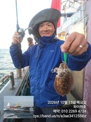 15일, 군산은 갑오징어 천국~아침부터 오늘도 잘 나오고 있어요~내일도 갑니다~군산낚시프라자 하이원호