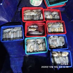 (내만 팁런)무늬~초~대박 장원 31수 총 125수 스마일호(오늘 예약)
