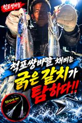 [ 갈치 텐빈 텐야 ] 굵은 씨알로 만쿨 반쿨 행진