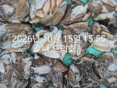 15일, 군산은 갑오징어 천국~좋은 조황들~연일 호조황~군산낚시프라자 나드리호
