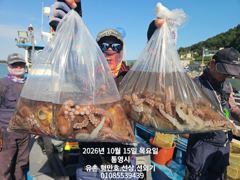 통영 형만호 선상 문어 키로급에 마리수.내일.주말 여유 사진
