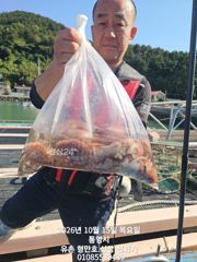 [통영] 유촌 형만호 선상 문어 키로급에 마리수 내일 자리여유 사진