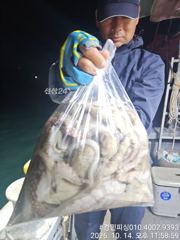 수욜야문 골고루20수오바~~ 사진