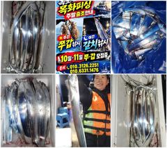 목화피싱10/14일야간갈치낚시조황씨앟좋은걸잡았네요.대신마릿수아쉽네요.