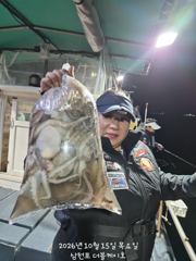 [먹물조황]삼천포문어,주꾸미조황! 사진
