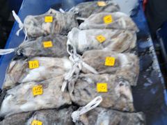 <썬스타호> 쭈+갑 오후 마무리 조황(15일)-내일 오전 오후 자리있습니다