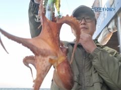 <뉴오리온호> 문어 종일 마무리 조황(15일)-황제낚시 하고 입항했습니다 사진
