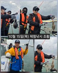 [피닉스피싱호] 10월 15일(목) 체험낚시 조황 - 좋지 않은 날씨에도 고생 많으셨습니다! 사진