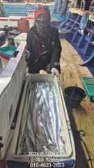 여수 빅보스호 10월 15일 입항 갈치도황소식