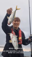 처음낚시도 1타쌍피, 초보낚시 1타쌍피 가을낚시 어종들 최고 시즌 입니다 속초 양양 대선단배낚시