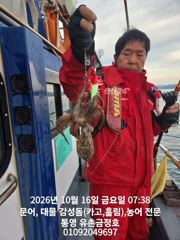 통영 금정호 아침부터 키로급문어가 신나게 올라옵니다 내일 오후 자리여유있어요