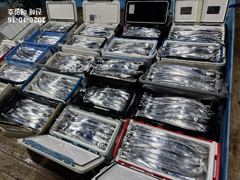 [16일입항,준내만갈치]4지5지5지대치로만쿨~!! 월화수목금예약가능! [주꾸미]일요일4분가능합니다~