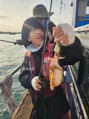 갑오징어조황