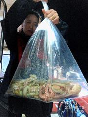 [진해] 문어사냥 레전드호타고 대박조황고고!